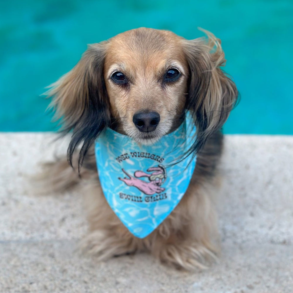 wet wieners swim club dog bandana - bean goods