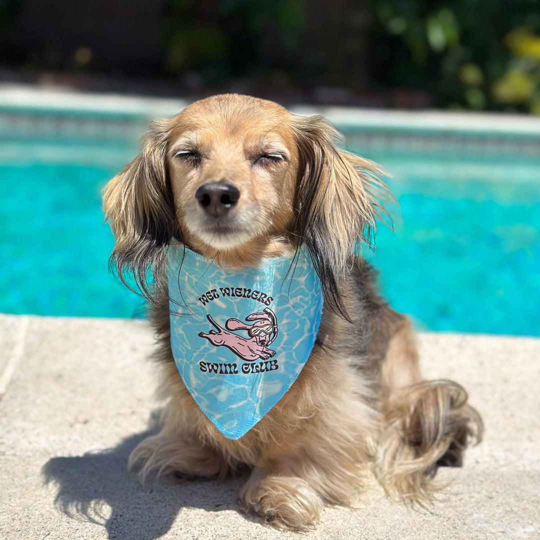 wet wieners swim club dog bandana - bean goods