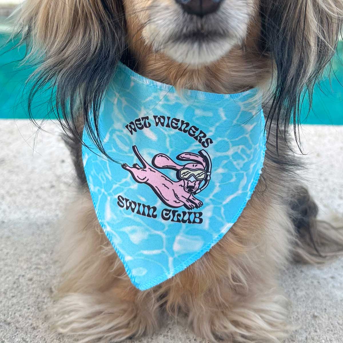 wet wieners swim club dog bandana - bean goods