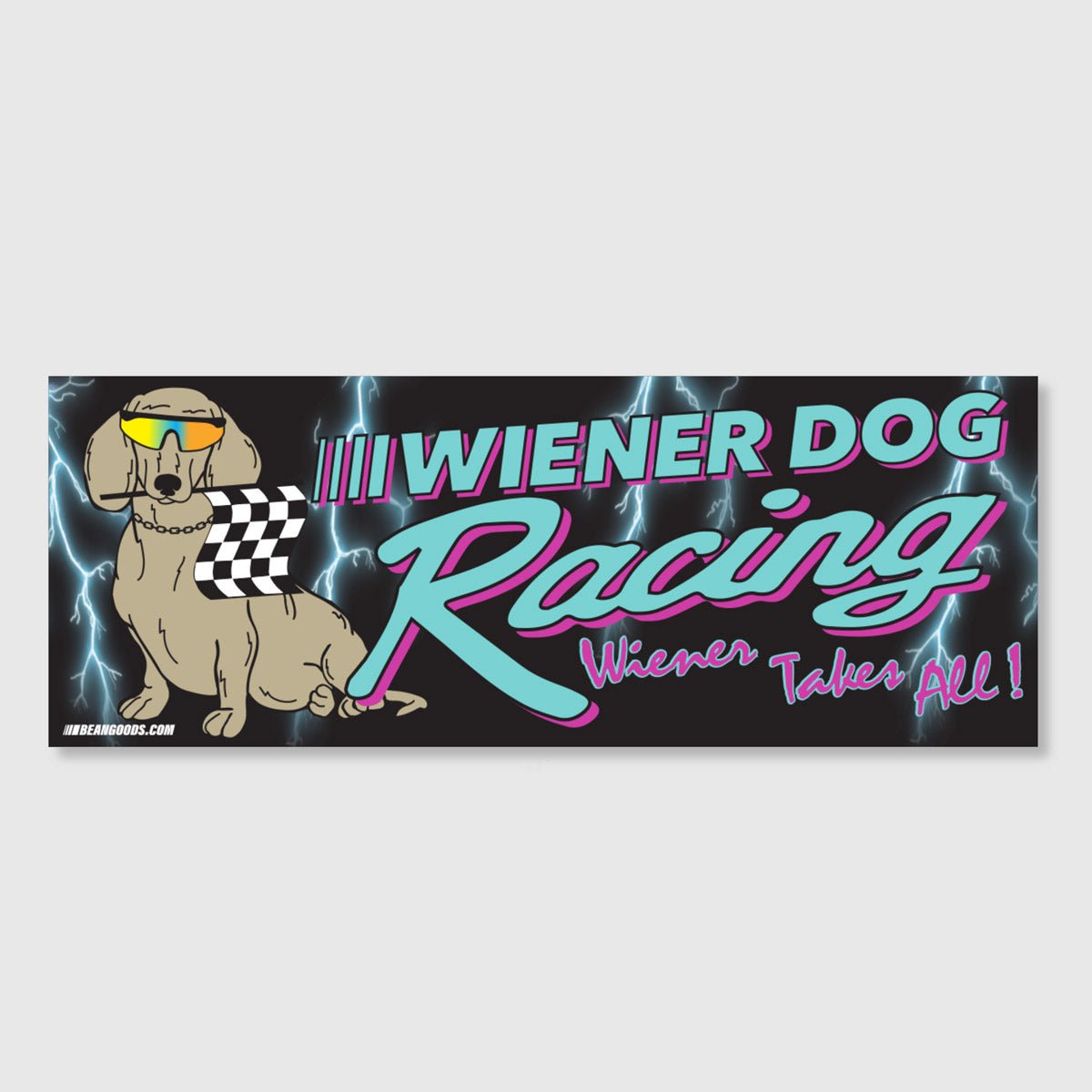wiener dog racing bumper sticker - bean goods