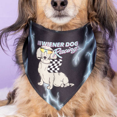 wiener dog racing dog bandana - bean goods