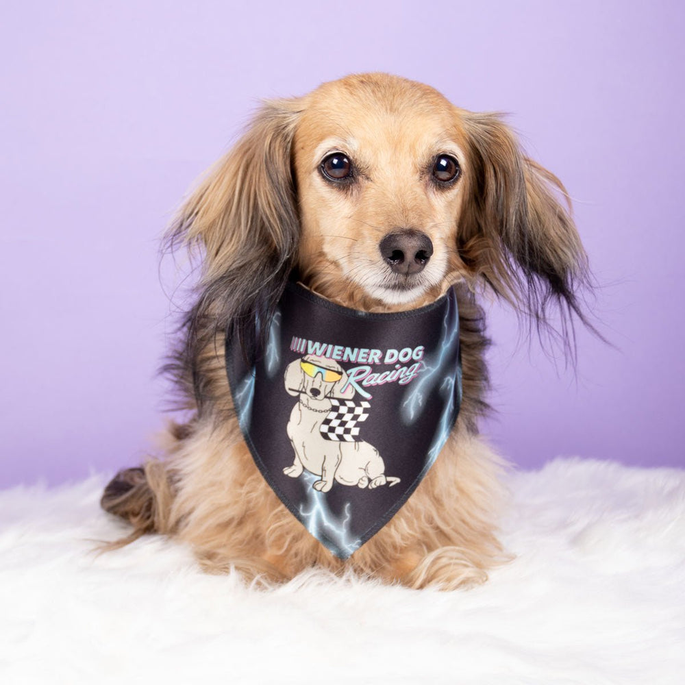 wiener dog racing dog bandana - bean goods