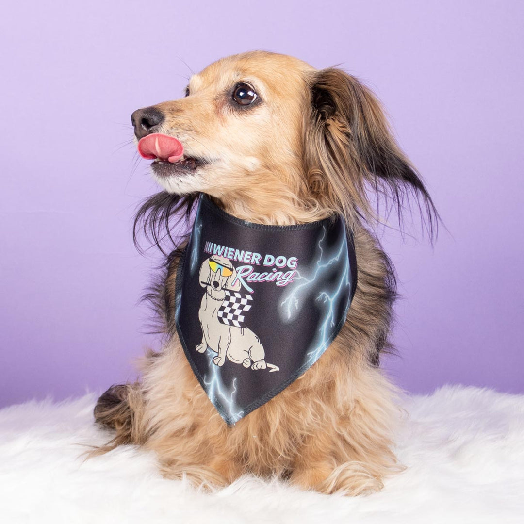 wiener dog racing dog bandana - bean goods