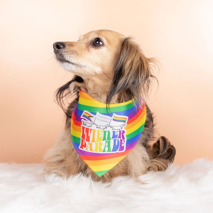 wiener parade dog bandana - bean goods