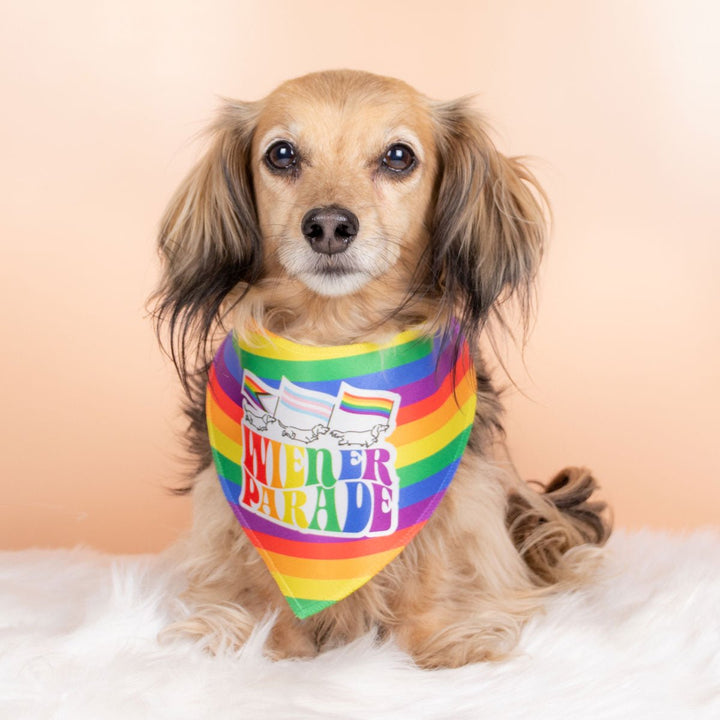 wiener parade dog bandana - bean goods