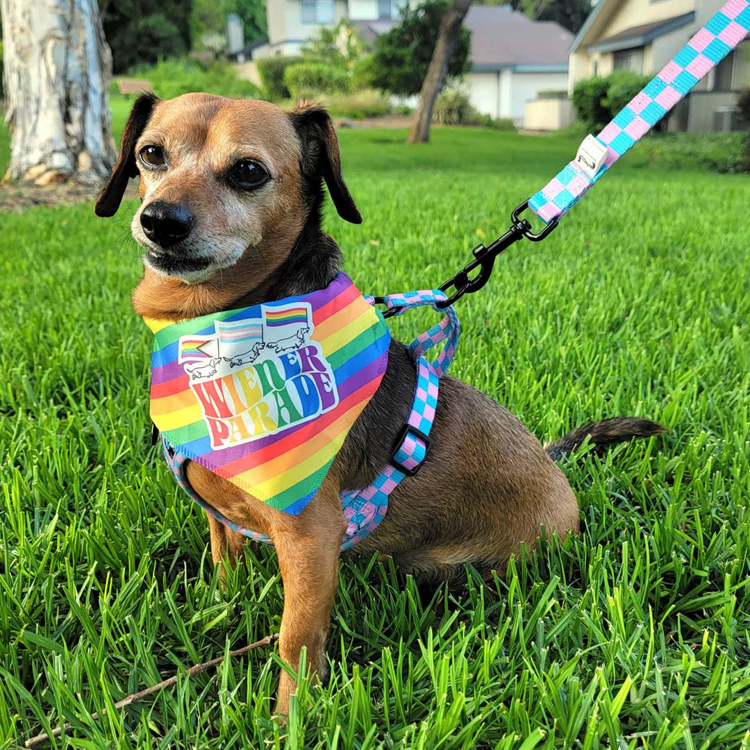 wiener parade dog bandana - bean goods