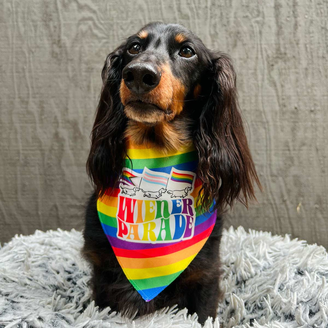 wiener parade dog bandana - bean goods