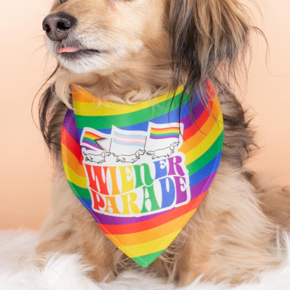 wiener parade dog bandana - bean goods