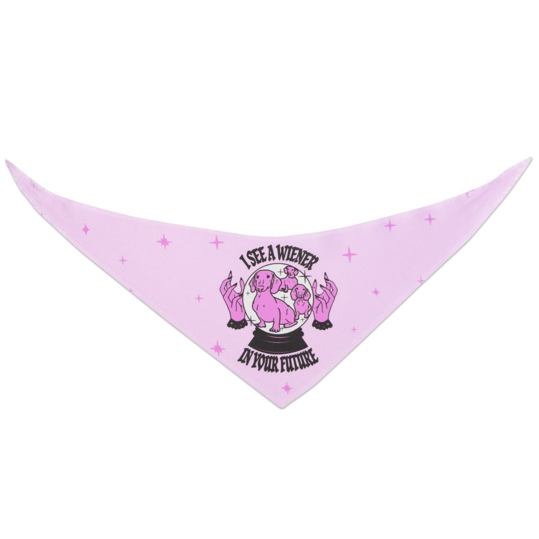 wiener psychic dog bandana - bean goods