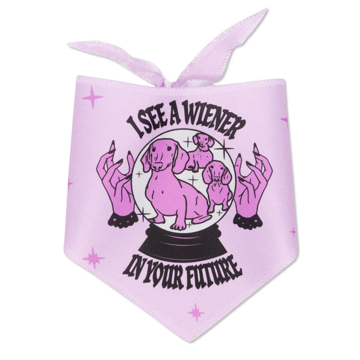 wiener psychic dog bandana - bean goods