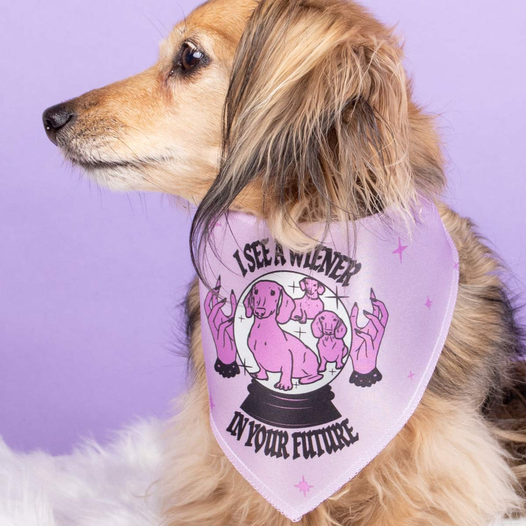 wiener psychic dog bandana - bean goods