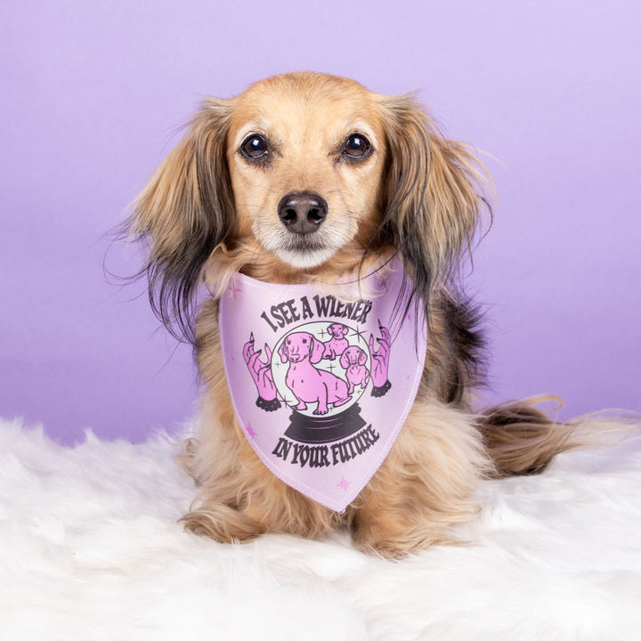 wiener psychic dog bandana - bean goods