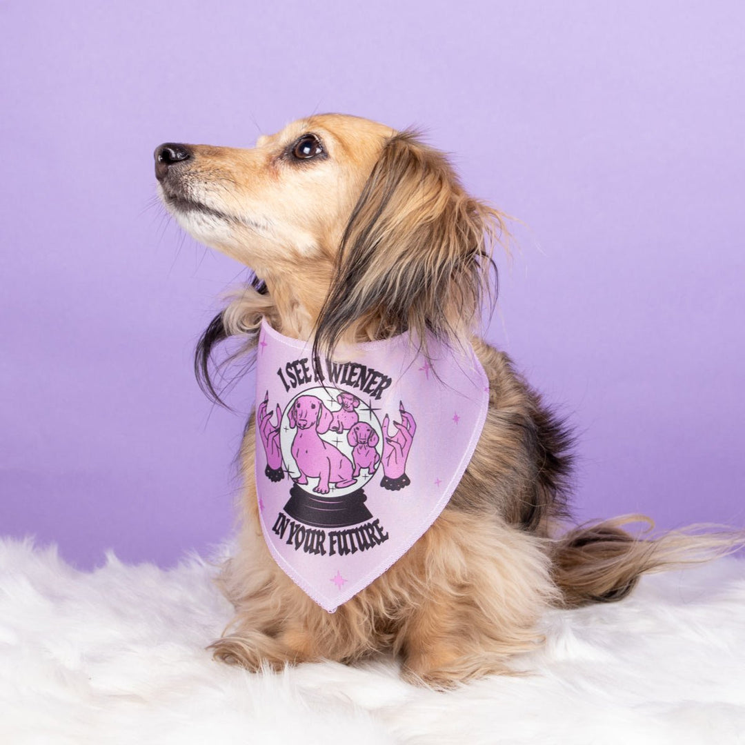 wiener psychic dog bandana - bean goods