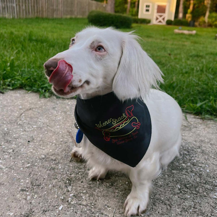 wiener shack dog bandana - bean goods