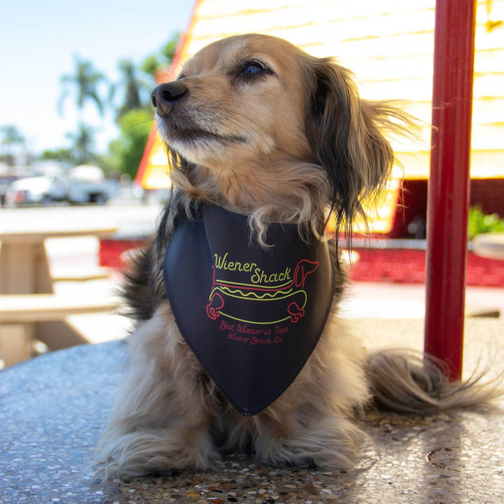 wiener shack dog bandana - bean goods