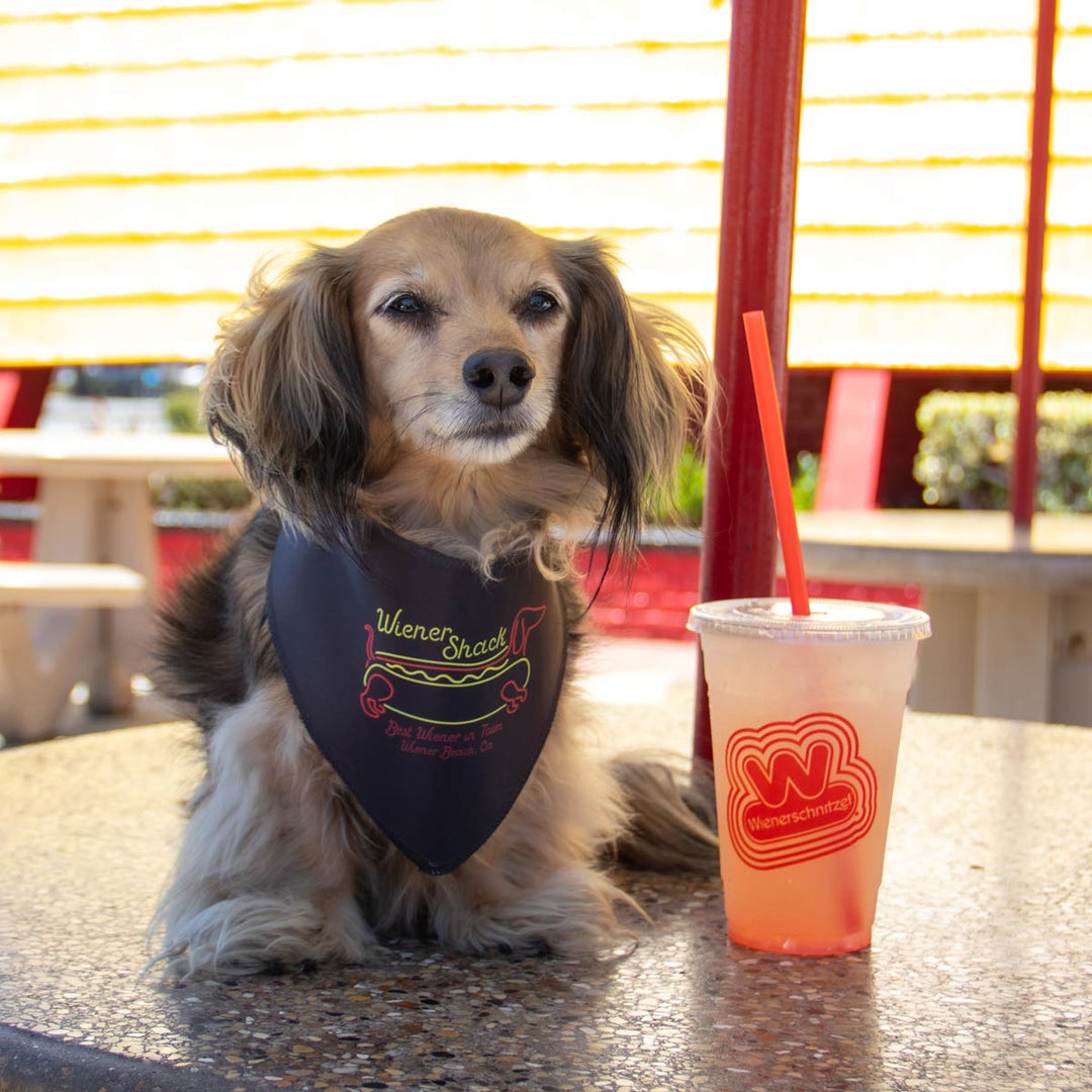 wiener shack dog bandana - bean goods