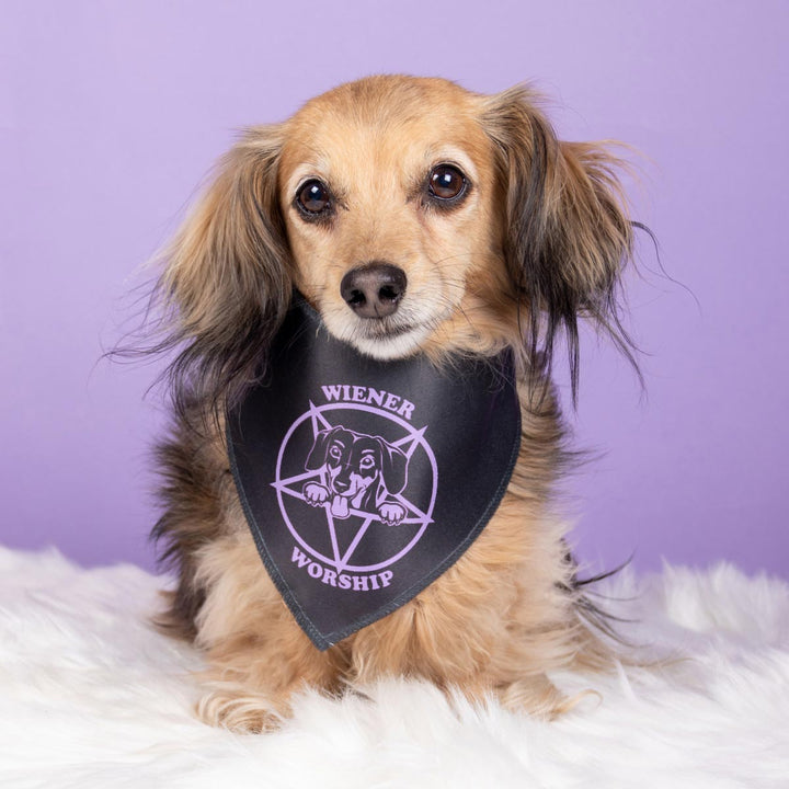 wiener worship dog bandana - bean goods