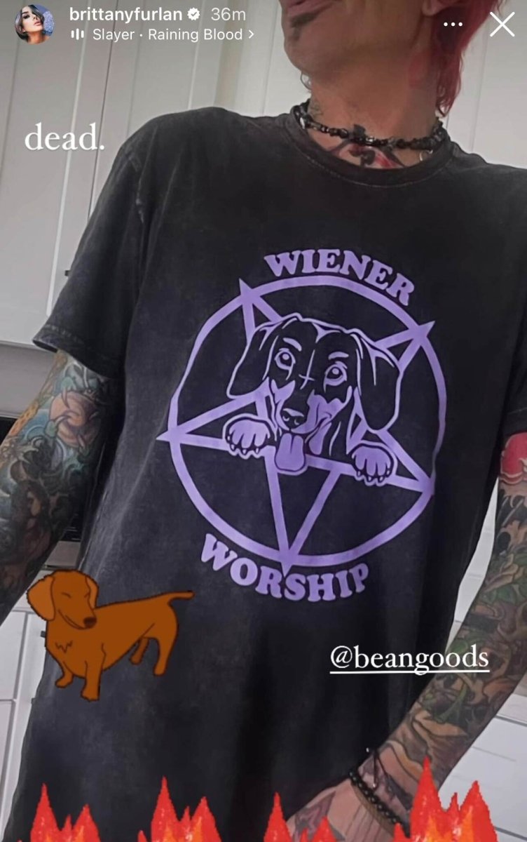 wiener worship unisex tee | black mineral wash - bean goods