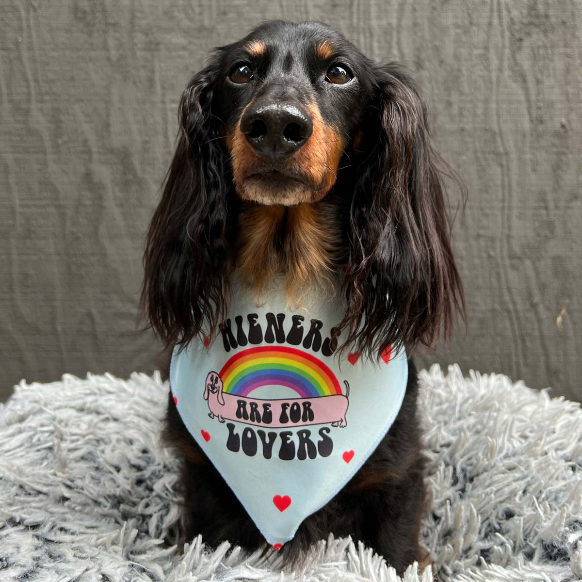 wieners are for lovers dog bandana - bean goods
