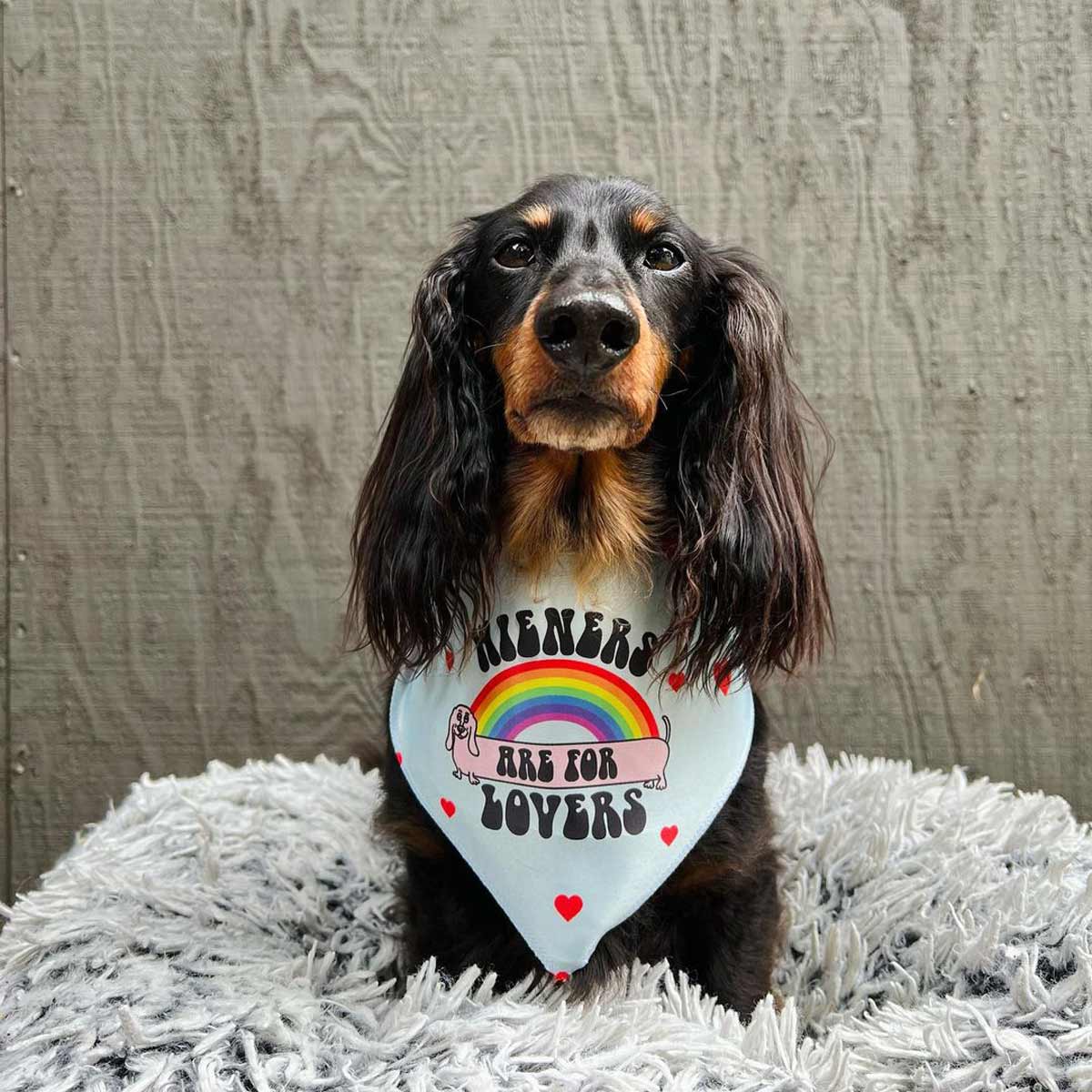 wieners are for lovers dog bandana - bean goods
