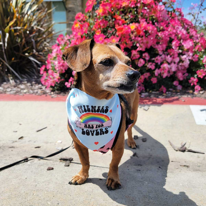 wieners are for lovers dog bandana - bean goods