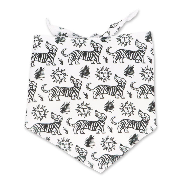 zebra ween dog bandana - bean goods